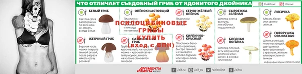 PSILOCYBIN Бугульма